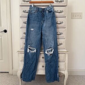 Vici Distressed Blue Jeans